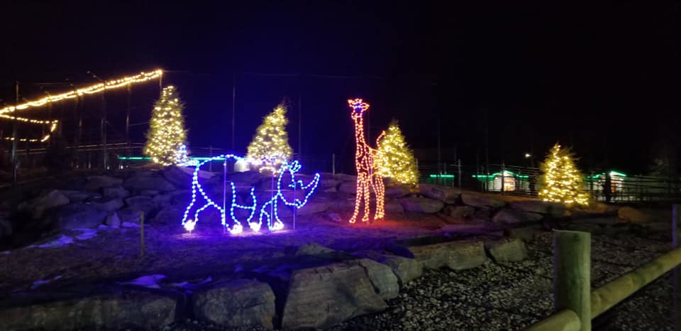 keystone safari holiday lights