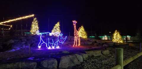 Even The Grinch Would Marvel At The Holiday Lights At Keystone Safari Near Pittsburgh