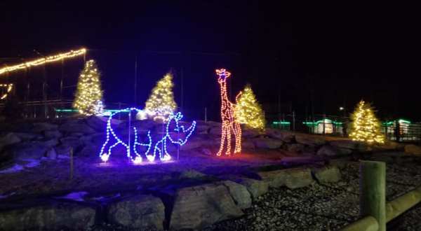 Even The Grinch Would Marvel At The Holiday Lights At Keystone Safari Near Pittsburgh