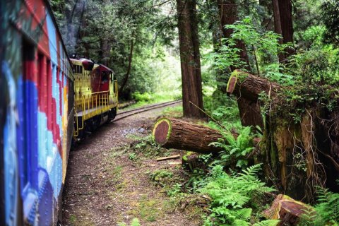 Hop Aboard The Pudding Creek Express For Beautiful Views Of The Northern California Redwoods