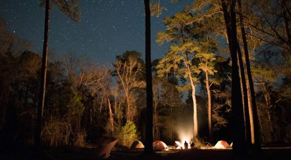Embark On A Real Live Bigfoot Hunting Adventure Right Here In Florida