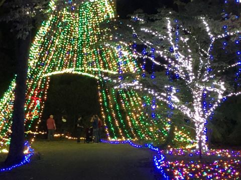 The Garden Christmas Light Displays At Norfolk Botanical Garden In Virginia Is Pure Holiday Magic