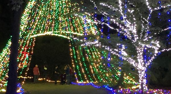 The Garden Christmas Light Displays At Norfolk Botanical Garden In Virginia Is Pure Holiday Magic