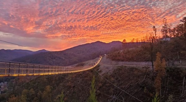 The Longest Swinging Bridge In Tennessee Can Be Found At The Gatlinburg SkyLift Park And The Views Are Unbeatable