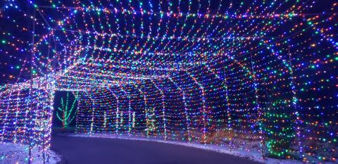 You Won't Want To Miss The Holiday Light Displays At These Three Utah State Parks