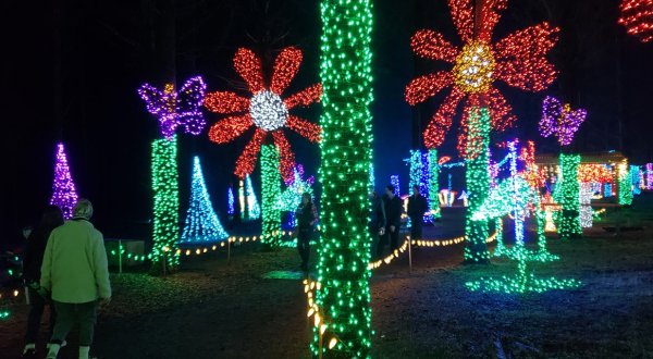 Even The Grinch Would Marvel At The Christmas In The Garden Event At Oregon Garden