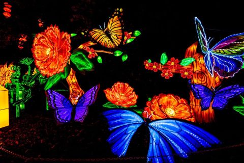 The Chinese Lantern Festival At Racine Zoo Is Changing Wisconsin Into A Glow-In-The-Dark Wonderland