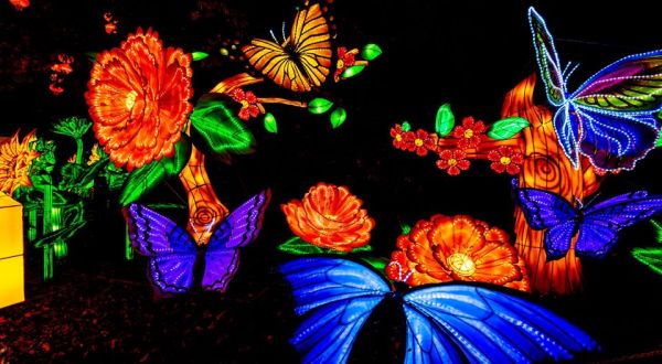 The Chinese Lantern Festival At Racine Zoo Is Changing Wisconsin Into A Glow-In-The-Dark Wonderland