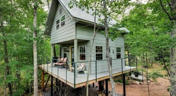 Have A Luxurious Night In Boulder Ridge Treehouse, A Retreat In The Treetops of Wisconsin