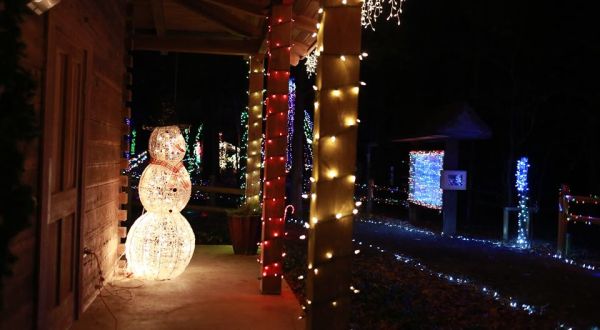 Take An Enchanting Walk Along A Glowing Path At Mississippi’s Deck The Trails Event