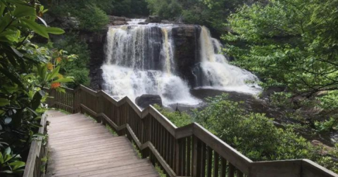 See The Tallest Waterfall In West Virginia At Blackwater Falls State Park