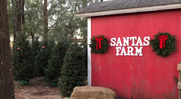 A Visit To Santa’s Farm In Florida Is One Of The Best Ways To Celebrate The Holidays