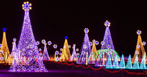 The 1.5-Million-Light Christmas in Color Will Be Returning To Colorado This Holiday Season