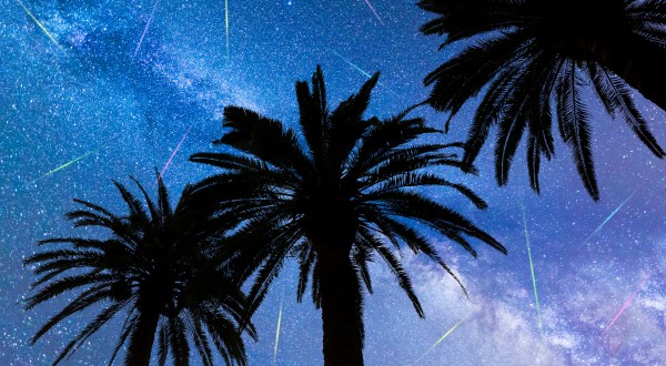 Watch Up To 100 Meteors Per Hour In The First Meteor Shower Of 2020, Visible From South Carolina