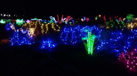 The Garden Christmas Light Displays At Orton Botanical Garden In Idaho Is Pure Holiday Magic
