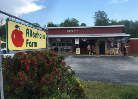 One-Of-A-Kind Allenholm Farm In Vermont Serves Up Fresh Homemade Pie To Die For