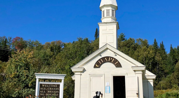 Dog Lovers Will Absolutely Love The Dog Chapel In Vermont