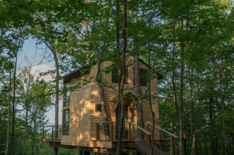 Sleep In The Middle Of An Enchanting Woodland Forest At Ling Treehouse In New Hampshire
