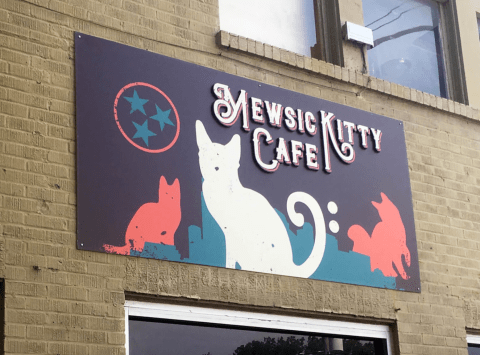 Mewsic Kitty Cafe Is A Completely Cat-Themed Catopia Of A Cafe In Tennessee