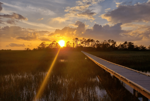 Hunting Island's Marsh Boardwalk Trail In South Carolina Leads To Incredibly Scenic Views