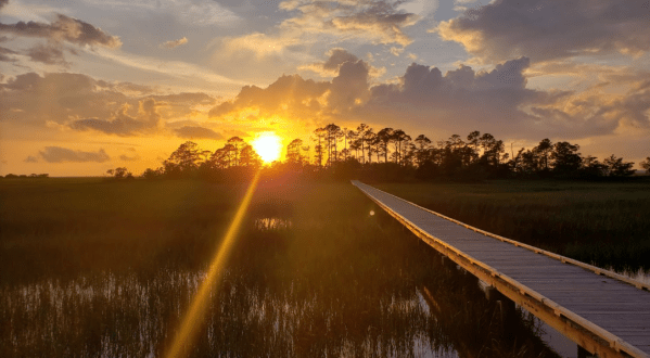 Hunting Island’s Marsh Boardwalk Trail In South Carolina Leads To Incredibly Scenic Views