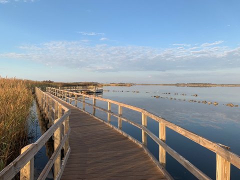 Enjoy Unspoiled Beaches And Ocean Views At The Back Bay National Wildlife Refuge In Virginia