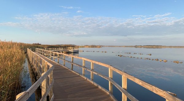 Enjoy Unspoiled Beaches And Ocean Views At The Back Bay National Wildlife Refuge In Virginia