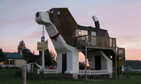 There’s A Dog-Themed Airbnb In Idaho And It’s The Perfect Little Hideout