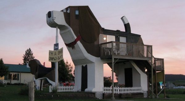 There’s A Dog-Themed Airbnb In Idaho And It’s The Perfect Little Hideout