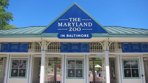 You Can Enjoy Breakfast With Elephants, Chimps, Penguins, And More At The Maryland Zoo