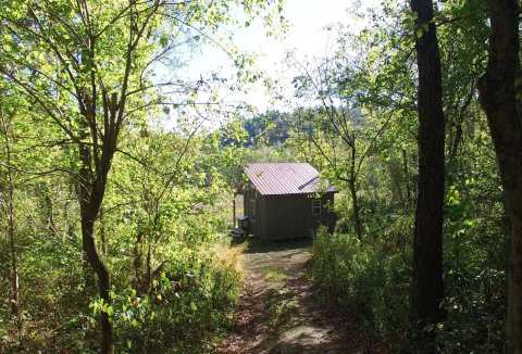 Sleep In The Middle Of An Enchanting Woodland Forest At The Wild Mustard Tiny House In West Virginia