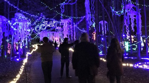 Maryland's Annmarie Garden In Lights Is A Magical Wintertime Fairyland Experience