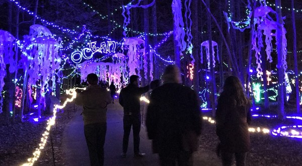 Maryland’s Annmarie Garden In Lights Is A Magical Wintertime Fairyland Experience