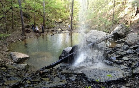 Falling Rock Falls Hike Is A Short And Easy Trail That's Nestled In Alabama's Cahaba River National Wildlife Refuge