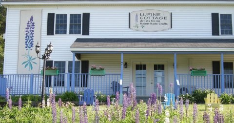 The Lupine Cottage In Maine Has A Nearly Secret Year Round Christmas Store And It's Extra Special This Time Of Year