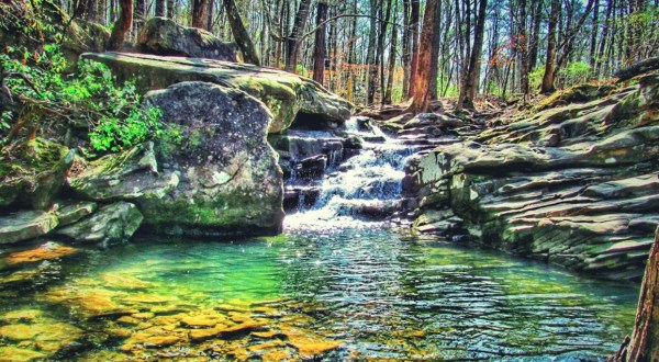 The 3-Mile Moss Rock Preserve Trail In Alabama Takes You Through An Enchanting Forest