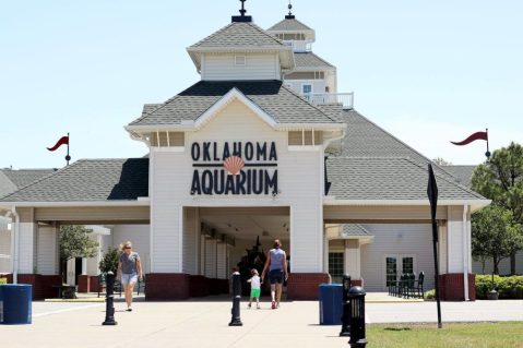 Walk Through An Underwater Shark-Infested Tunnel At The Oklahoma Aquarium In Oklahoma