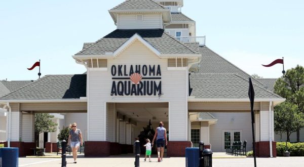 Walk Through An Underwater Shark-Infested Tunnel At The Oklahoma Aquarium In Oklahoma