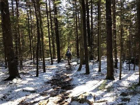 Explore More Than 47 Miles Of Trails All Winter Long At Dolly Sods Wilderness In West Virginia