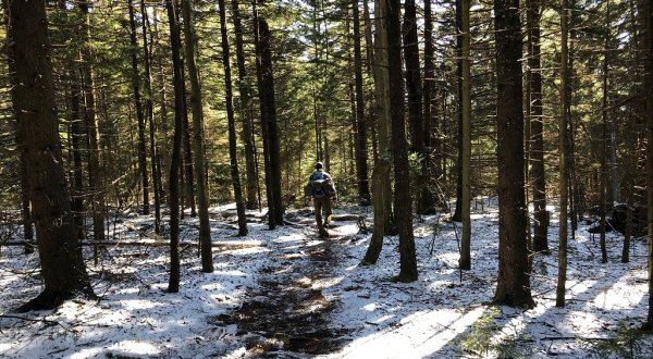 Explore More Than 47 Miles Of Trails All Winter Long At Dolly Sods Wilderness In West Virginia