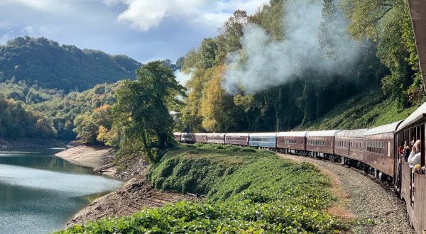 Ride The Train Into A Mountain Gorge and Zip Line All The Way Out On The Tarzan Zipline Train Adventure In North Carolina