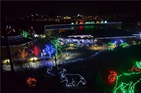 The Akron Zoo In Ohio Is Decked Out In Thousands Of Glittering Lights For Your Holiday Enjoyment