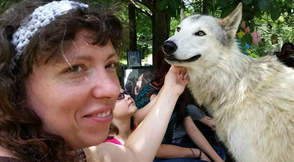 Camp With Magnificent Real Wolves At Saint Francis Wolf Sanctuary In Texas