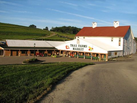 Sample Beer And Play Games At Pour 'N Play Hosted By Trax Farms Near Pittsburgh