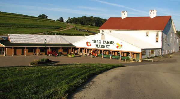 Sample Beer And Play Games At Pour ‘N Play Hosted By Trax Farms Near Pittsburgh