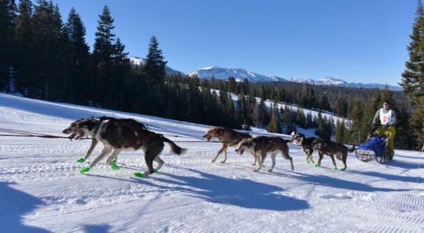 Watch Beautiful, Athletic Dogs Race Through The Snow In Oregon’s Mountains During This Extreme Sled Dog Race