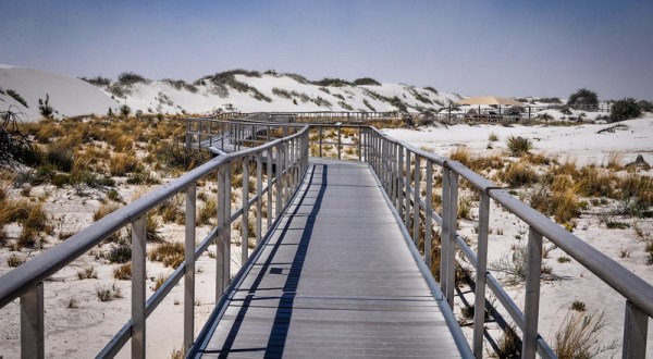 The Interdune Boardwalk Trail In New Mexico That Leads To Incredibly Scenic Views