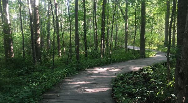 The Boardwalk Hike Near Pittsburgh That Leads To Incredibly Scenic Views