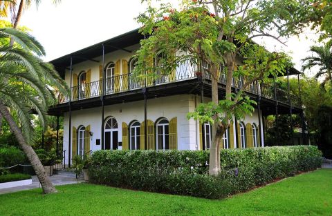 America's Unofficial Polydactyl Cat Museum, The Hemingway Home, Is Right Here In Florida
