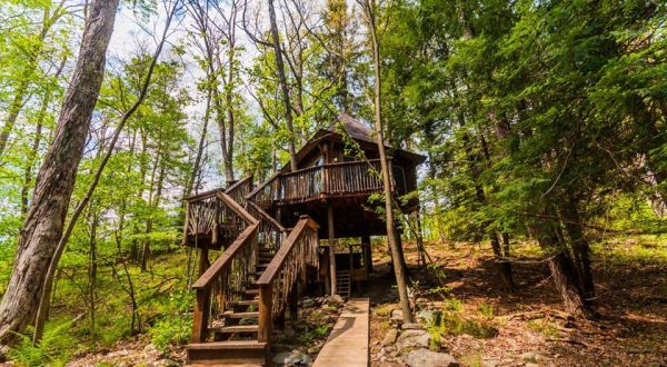 Sleep Among Towering Trees At Fernstone Treehouse In Pennsylvania